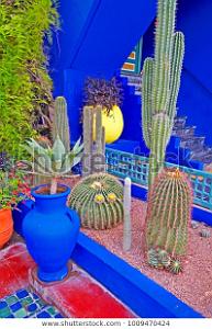 JACQUES MAJORELLE (120)